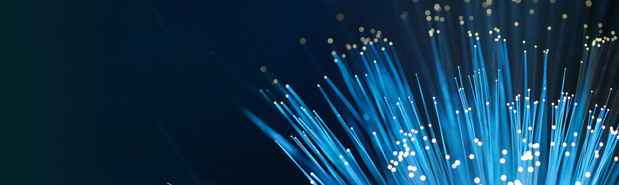 insights-hero-banner-new-final-2